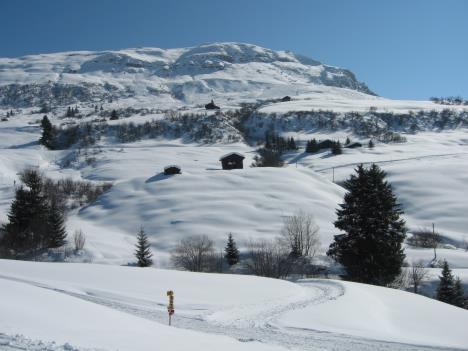 Ski 070.jpg   25kb   26.03.2021 22:29:39